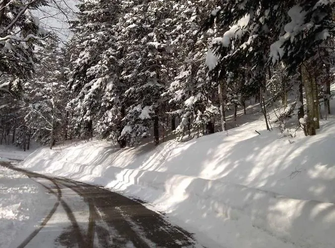 Alpstuga Sanmari_forest Ledenice